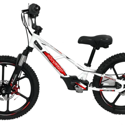 Pūr-Speed 20" Xtreme Electric Balance Bike | Semi-Hydraulic Brake Calipers (2024 Frame) | 48v/500w with 4.0Ah Battery